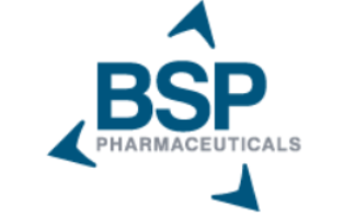 BSP logo